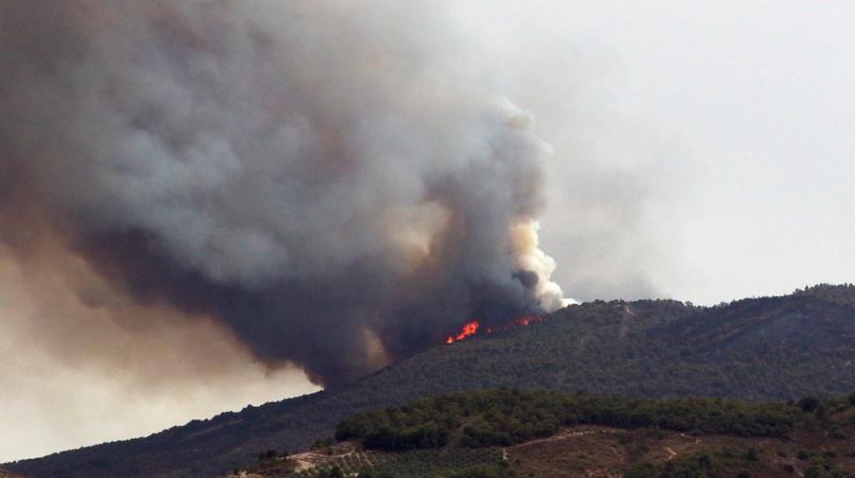 La Junta activa el nivel 1 en el incendio de Los Guájares en Granada