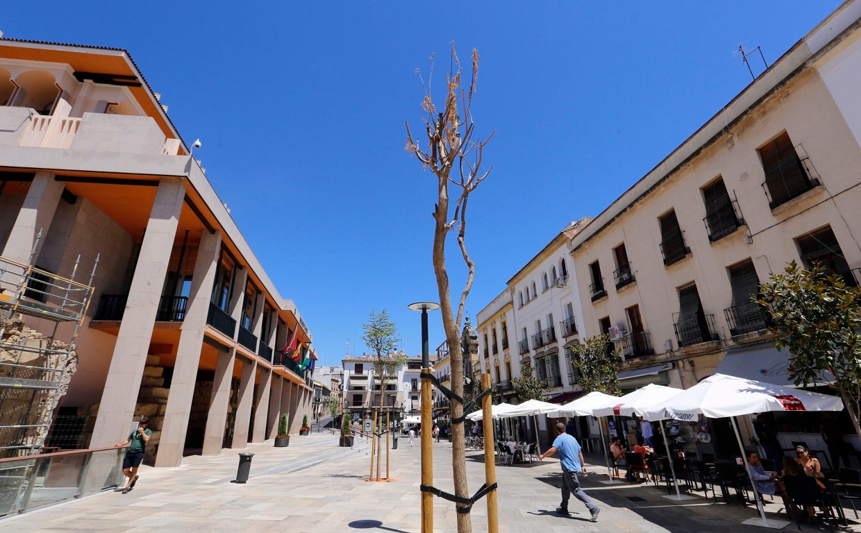 Edificio municipal de Capitulares