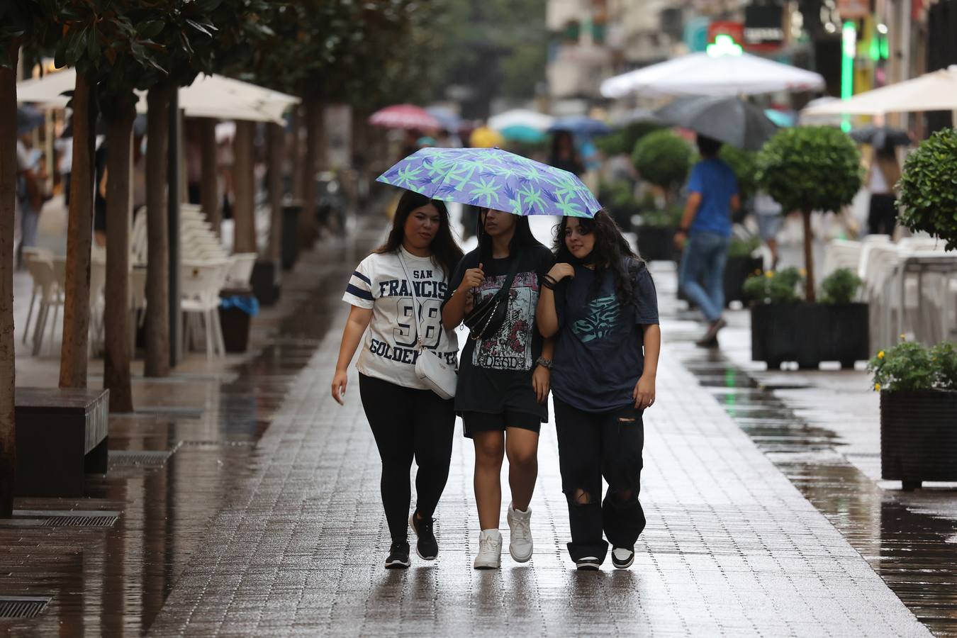 La ansiada lluvia vuelve a Córdoba, en imágenes