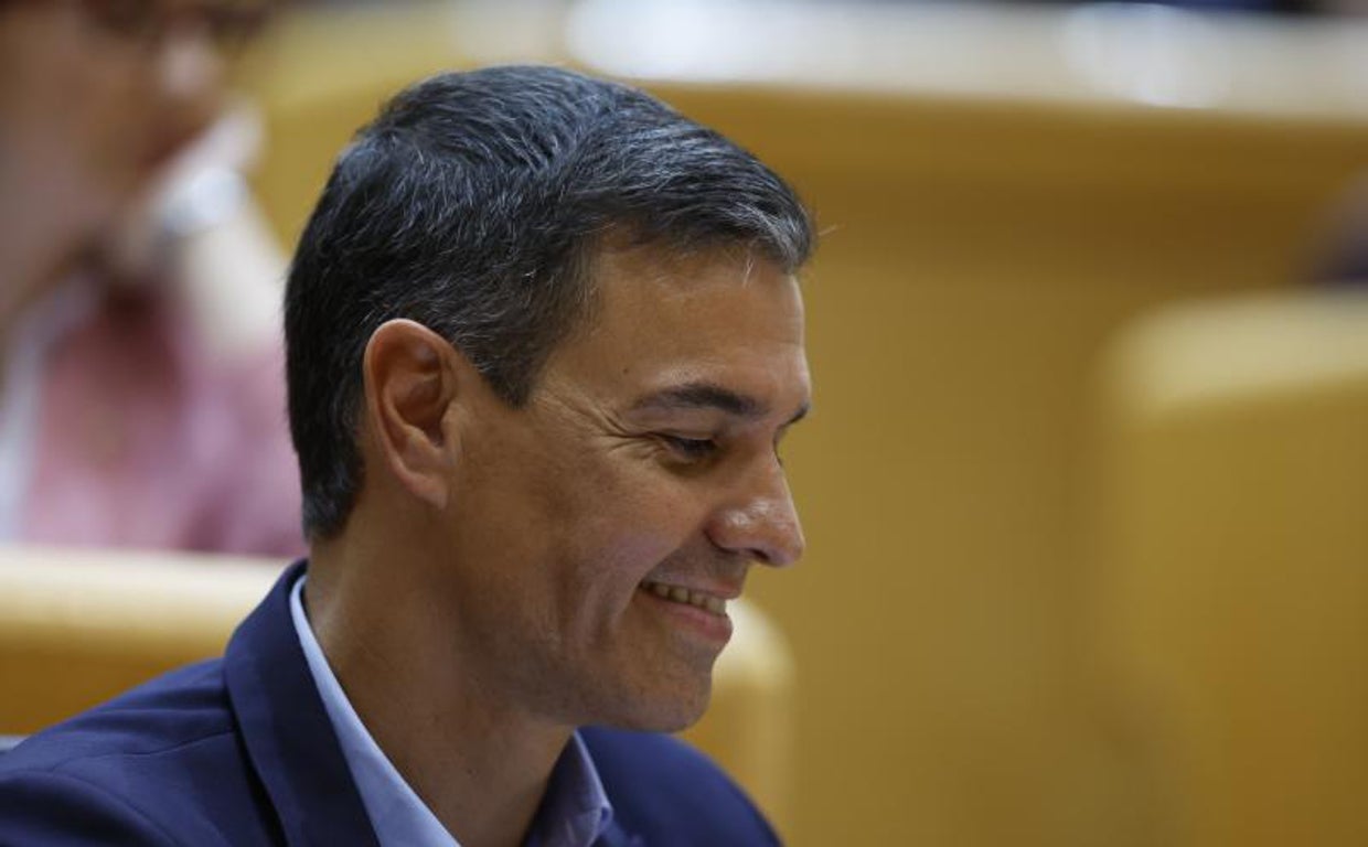 El presidente del Gobierno, Pedro Sánchez, la semana pasada, en el Senado