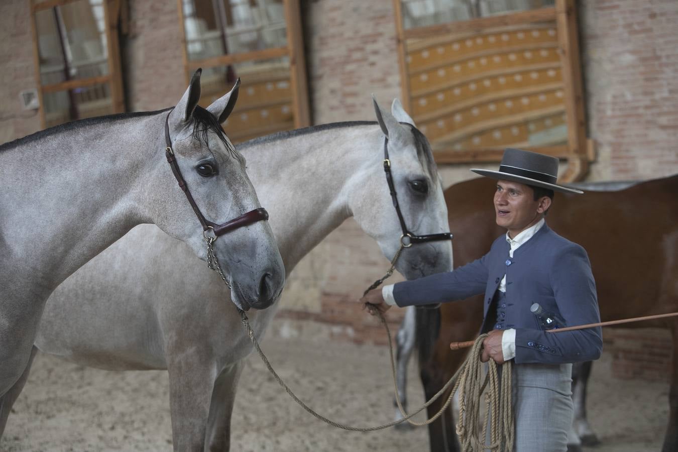 El Concurso Morfológico de Cabalcor de Córdoba, en imágenes