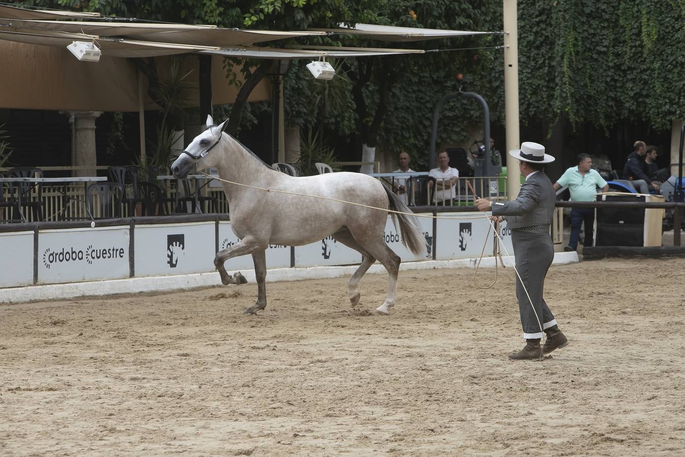 El Concurso Morfológico de Cabalcor de Córdoba, en imágenes