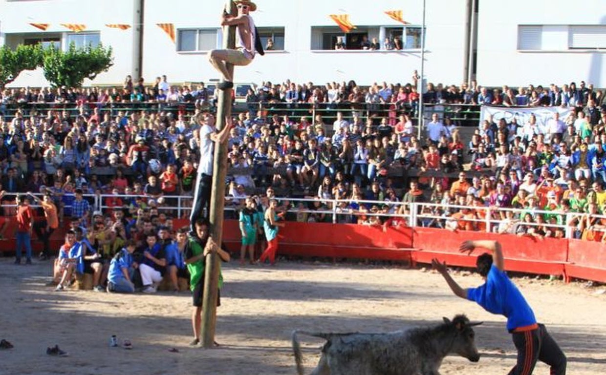 Uno de los últimos festejos taurinos celebrados en Santpedor