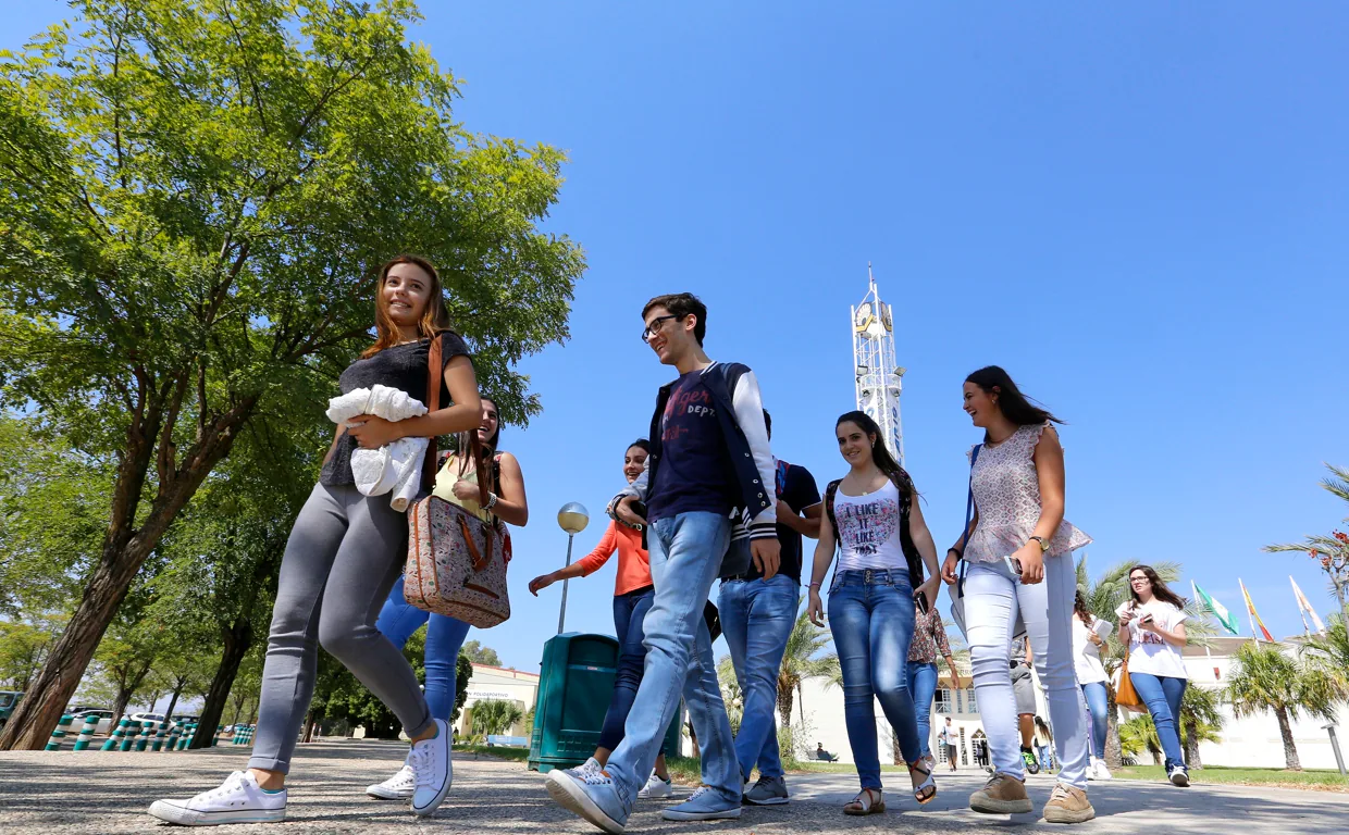 La Universidad De Córdoba Mantiene Aún 364 Plazas De 16 Grados Disponibles