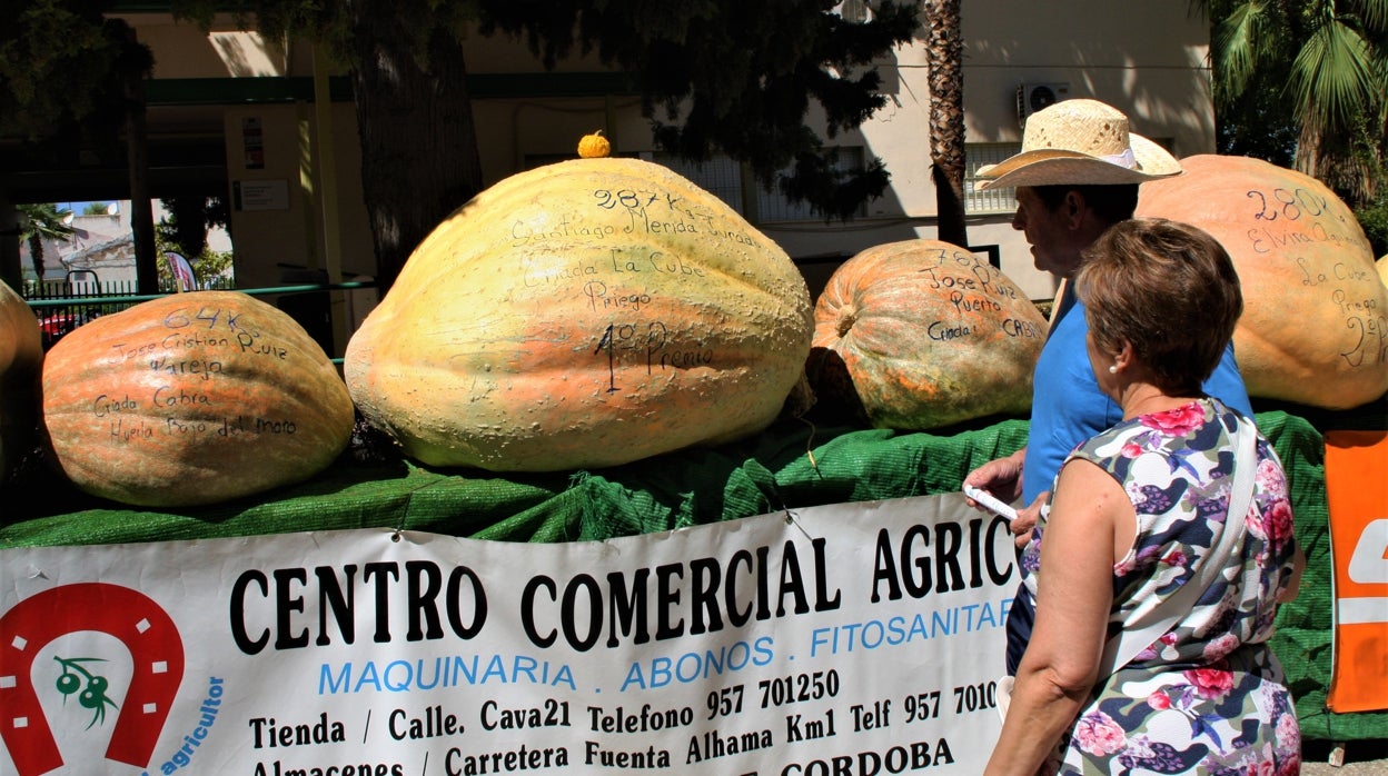 La primera jornada de la feria Agropriego, en imágenes