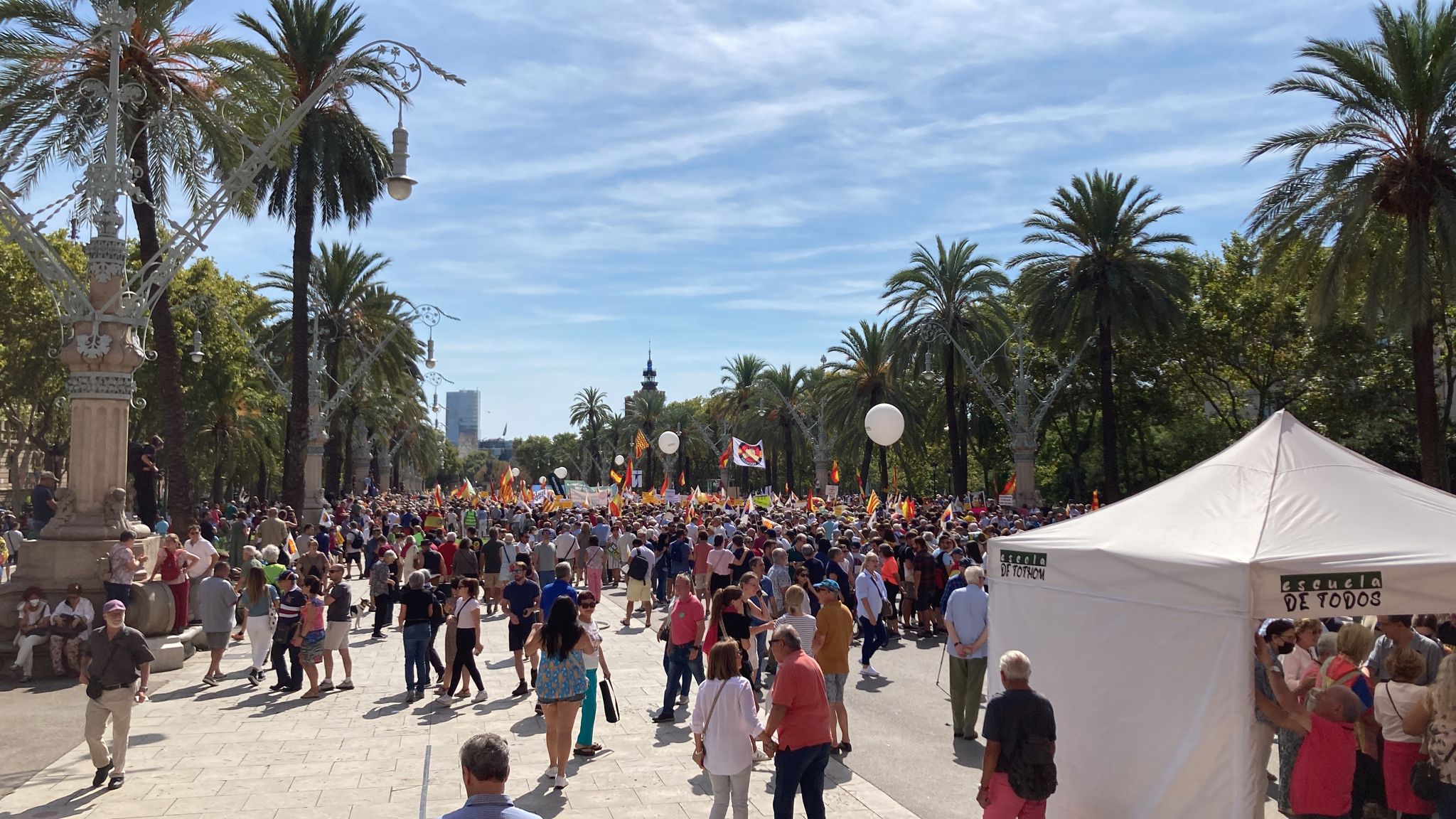 Una imagen de la multitud a su paso por el paseo de Lluís Companys