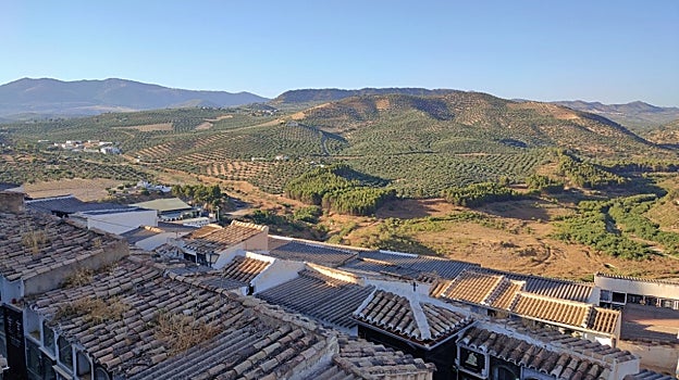 Vista cenital de algunas calles del cementerio de Iznájar