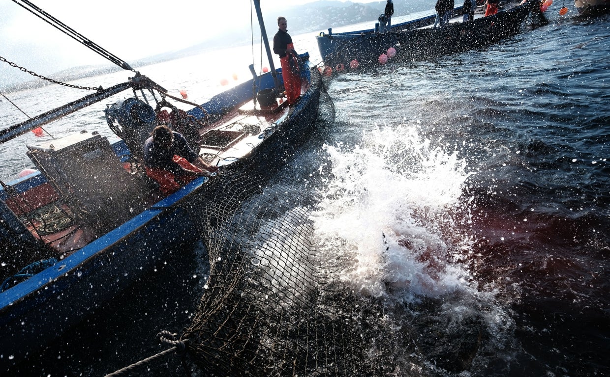 «Levantá» de una almadraba de Gadira