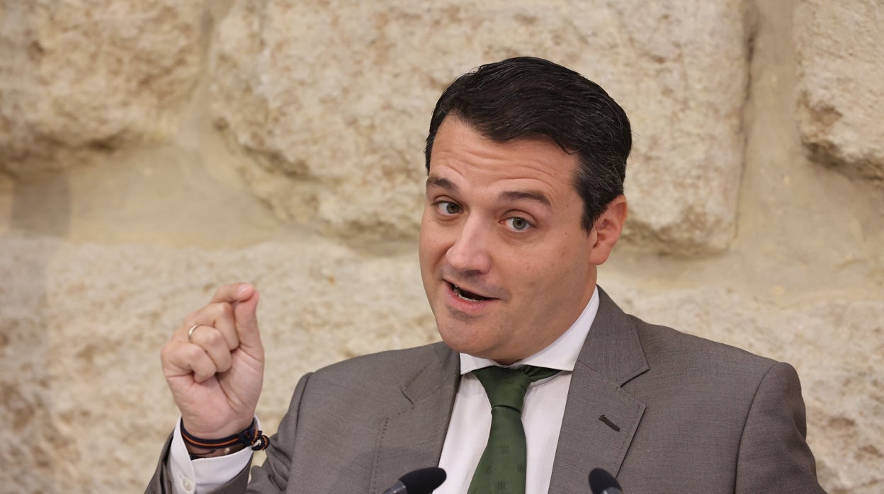 El alcalde de Córdoba anuncia dos parking, otra reforma fiscal y un plan para pagar la luz