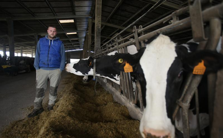 Los ganaderos, al límite: la sequía compromete el alimento de las vacas