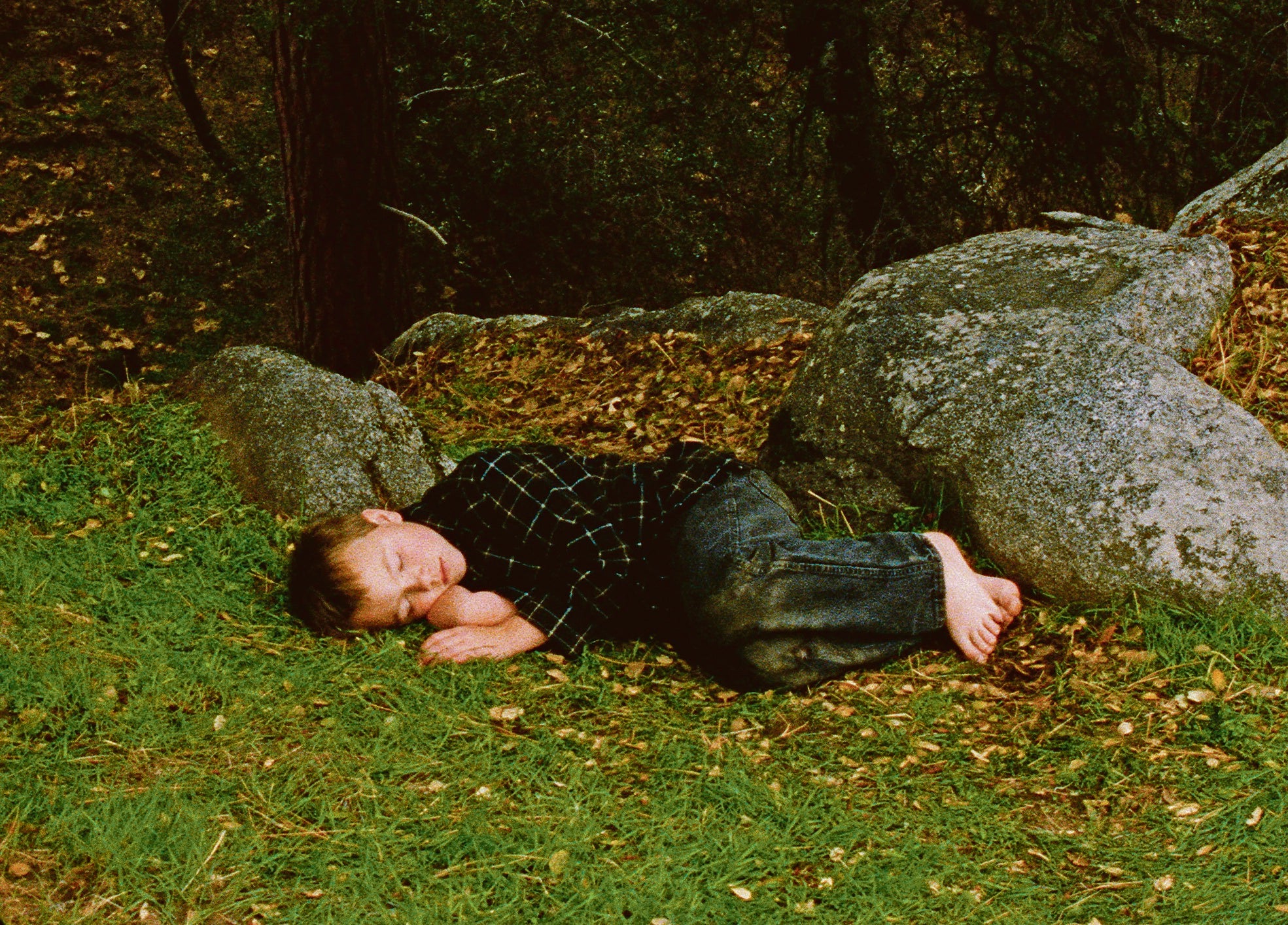 Proyecto audiovisual de Sharon Lockhart