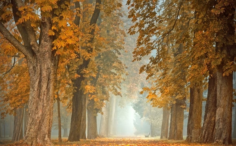 Una notable bajada de las temperaturas marca el inicio del otoño en Castilla y León