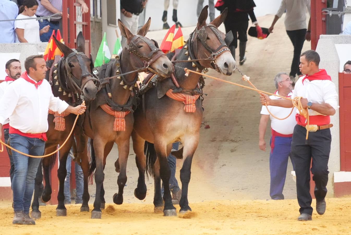La corrida de rejones de Pozoblanco, en imágenes