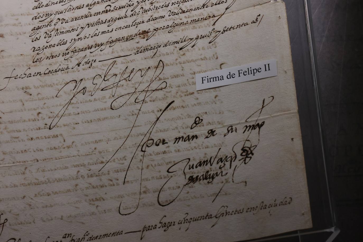 La exposición sobre la visita de Felipe II a Córdoba, en imágenes