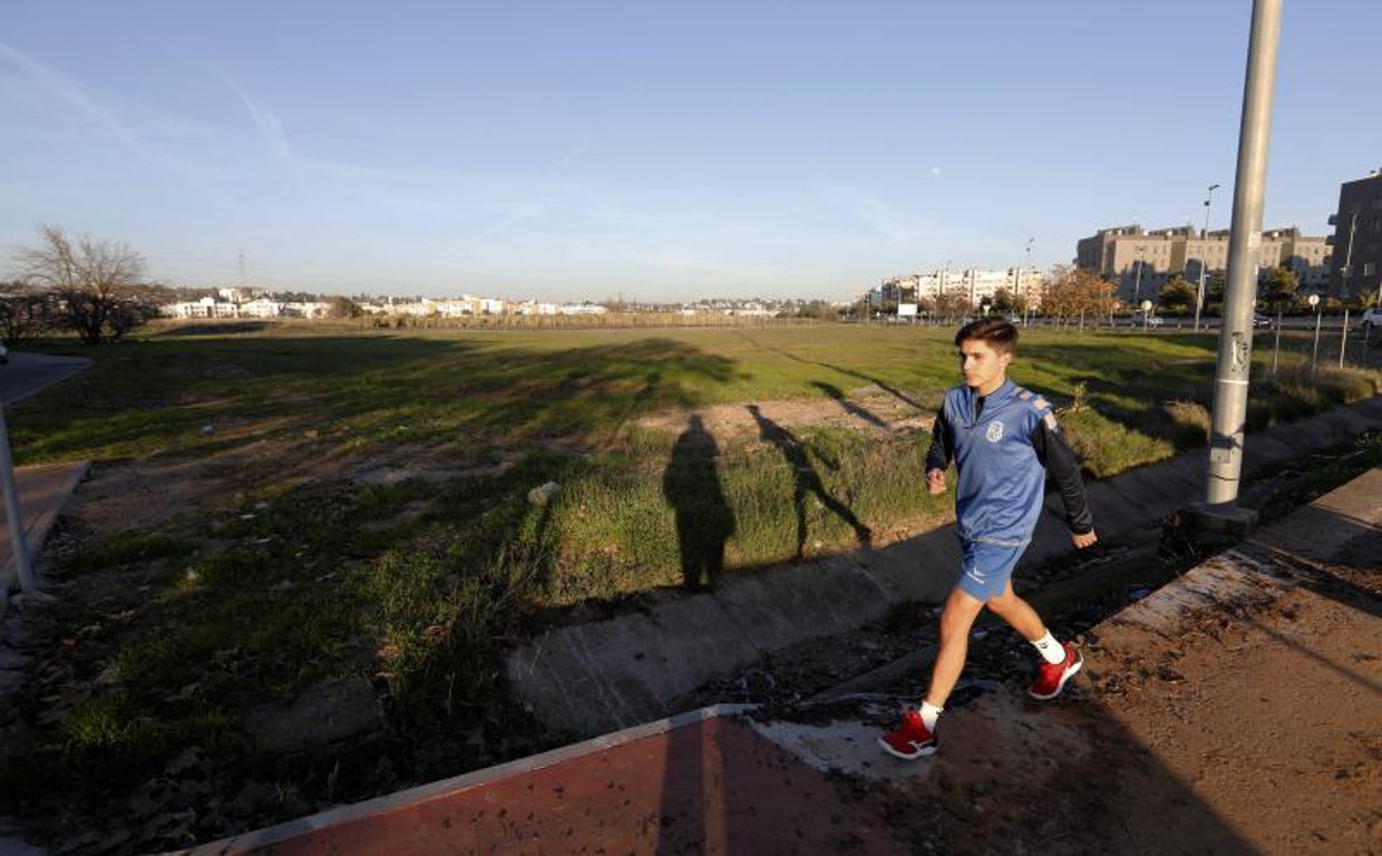 Urbanismo licita por 3,5 millones la obra del Parque del Flamenco de Córdoba