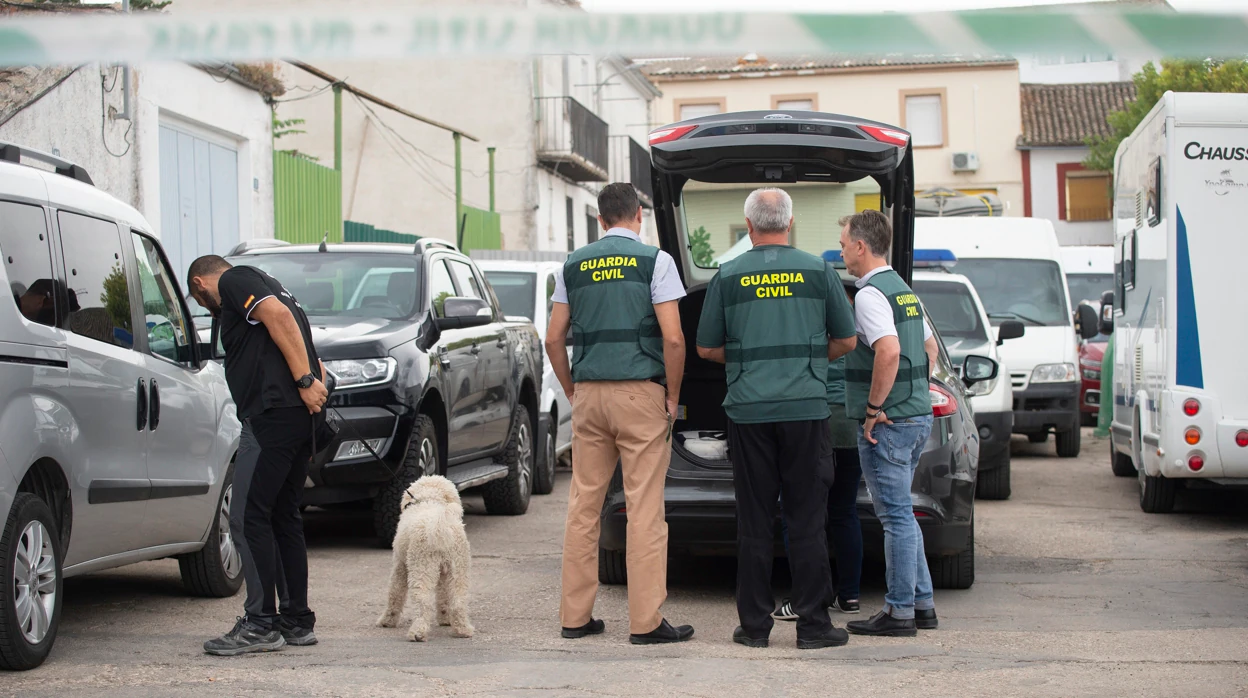 La Guardia Civil registra el olivar donde trabajó el jornalero senegalés desaparecido en Villacarrillo