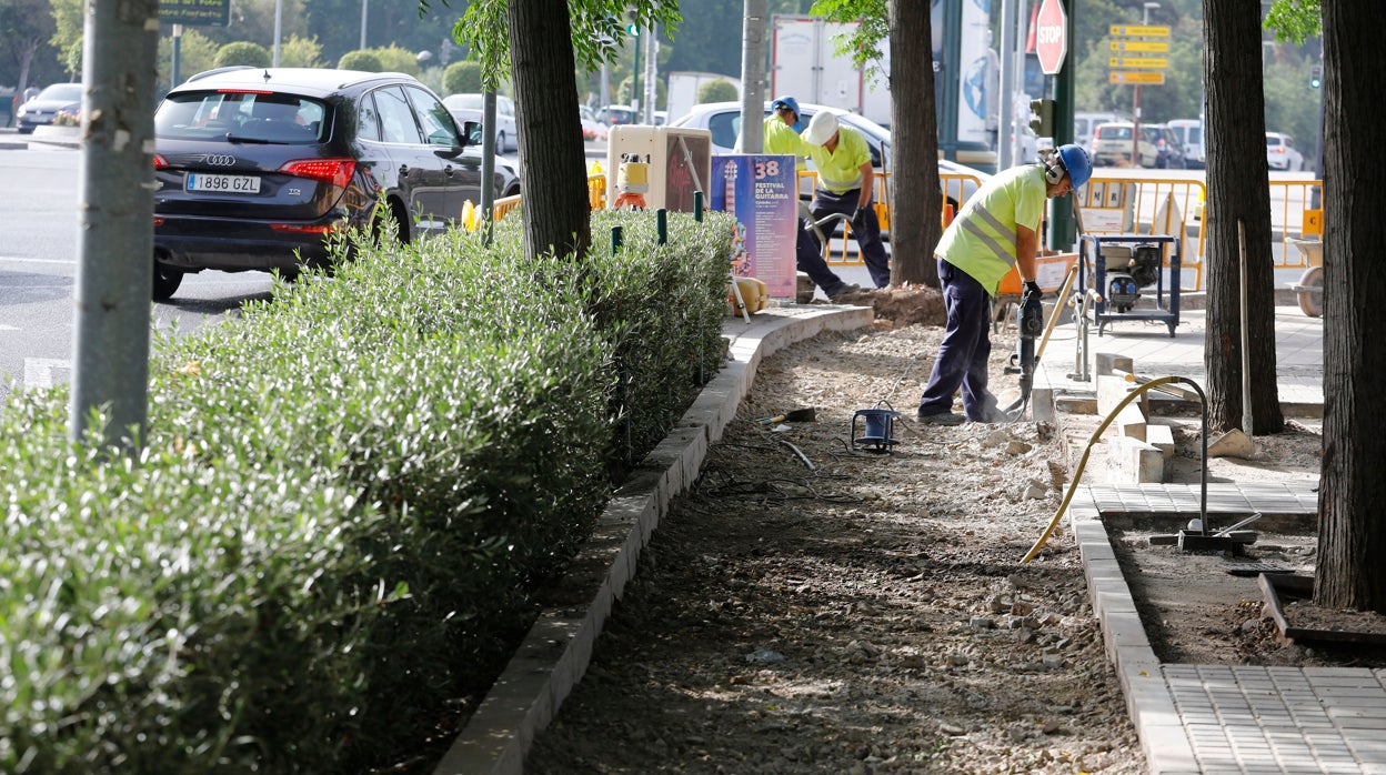 Córdoba tiene pendiente aún incrementar en un tercio sus carriles bici