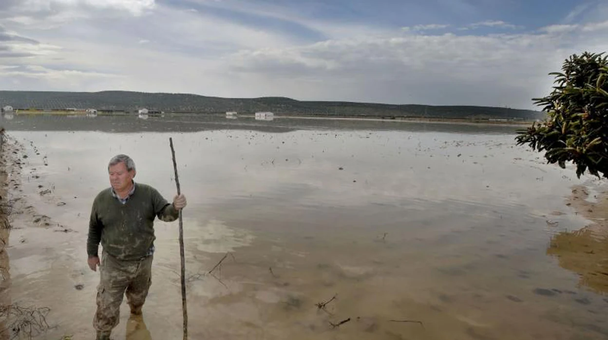 Andújar recuperará el cauce natural del Guadalquivir para evitar las inundaciones