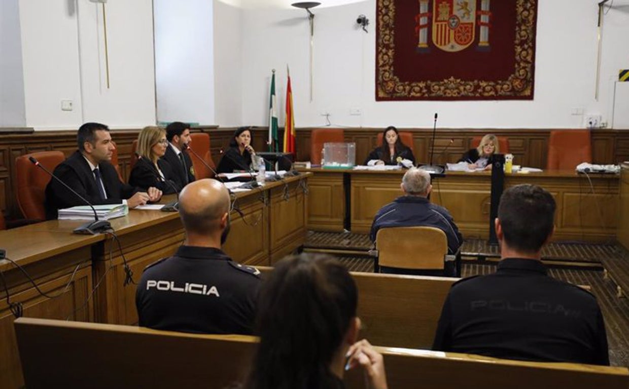 Imagen del juicio en la Audiencia Provincial de Granada