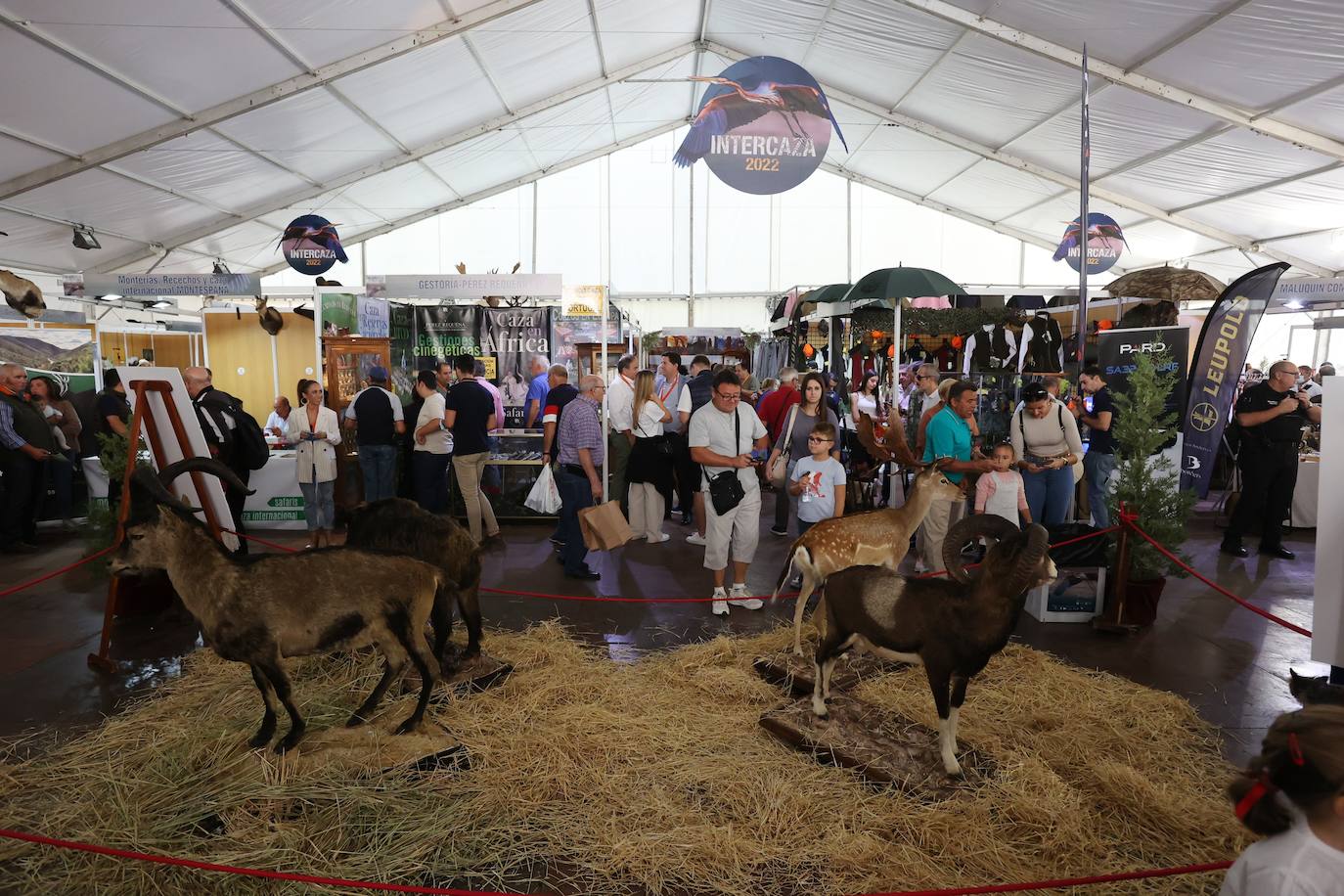 La feria Intercaza de Córdoba, en imágenes