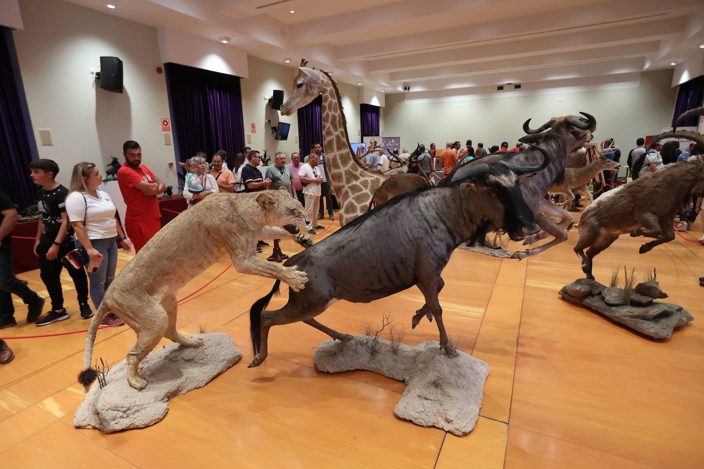 La feria Intercaza de Córdoba, en imágenes