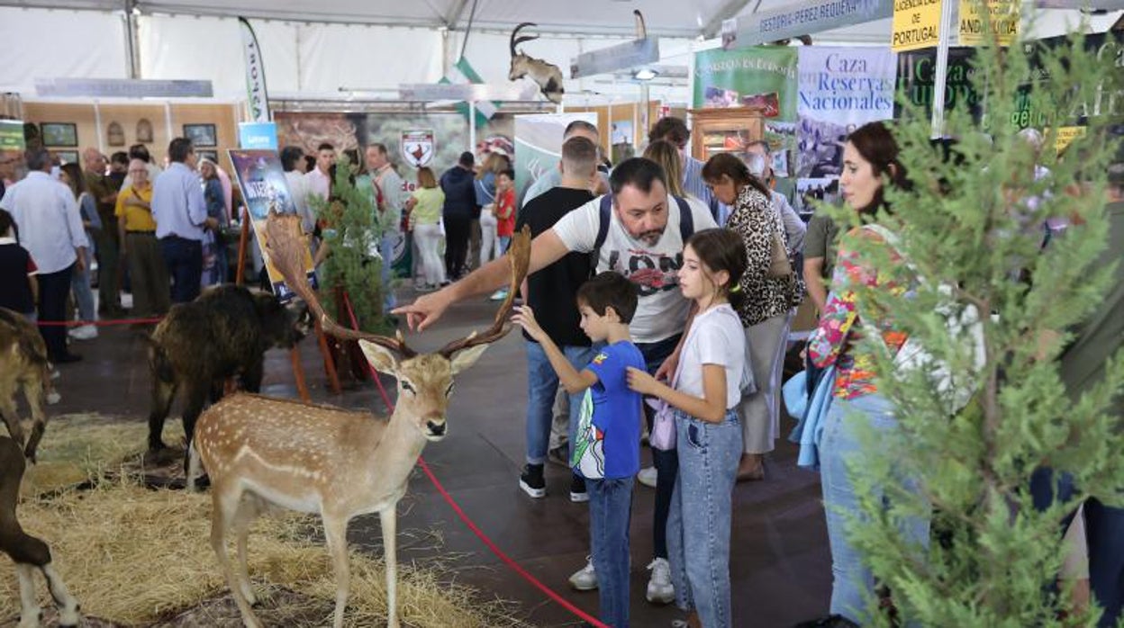 Intercaza de Córdoba cierra su primera edición posCovid con 37.000 visitantes