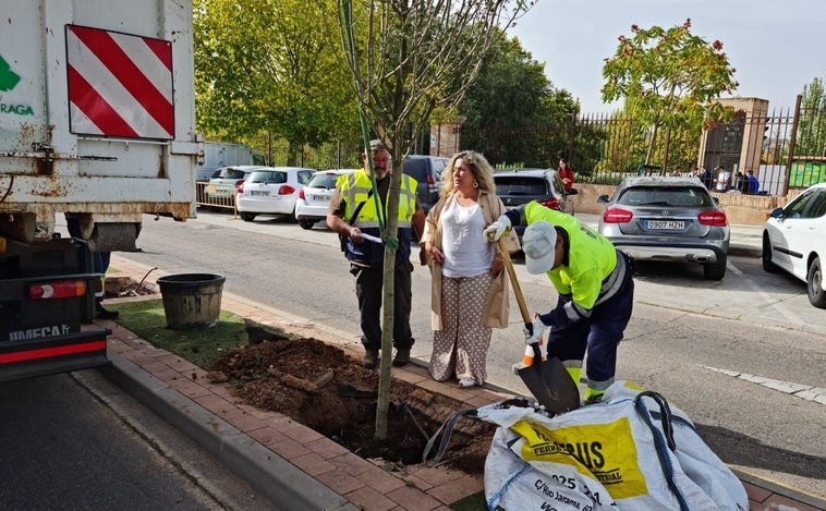 Comienza la plantación de más de 90 árboles y 450 arbustos en la avenida de Europa