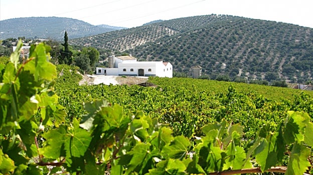 De la uva al vino: cinco lagares con solera y encanto turístico en Córdoba