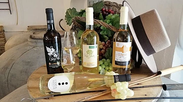 De la uva al vino: cinco lagares con solera y encanto turístico en Córdoba