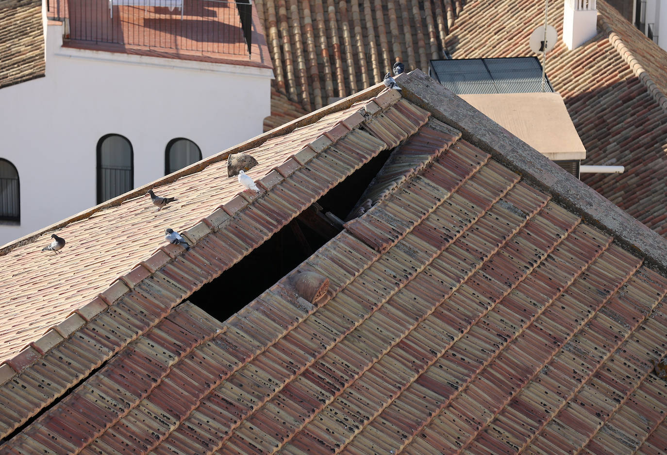 El mal estado de la Zona Militar de Córdoba, en imágenes