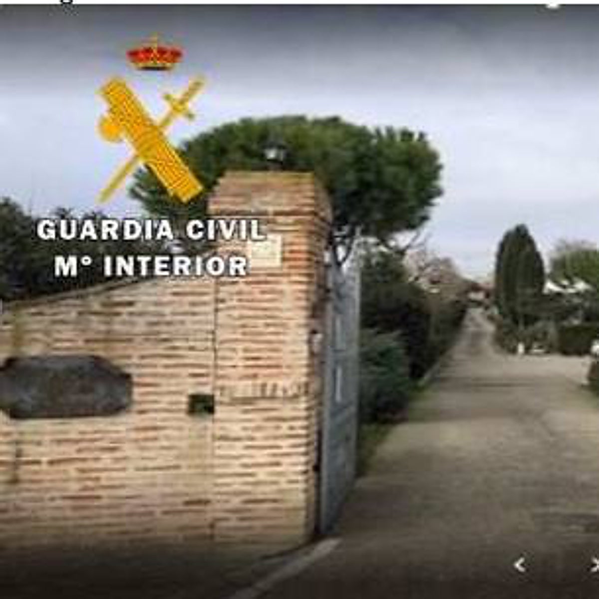 Investigado por abandonar a cuatro perros y después robarlos del centro canino que los custodiaba