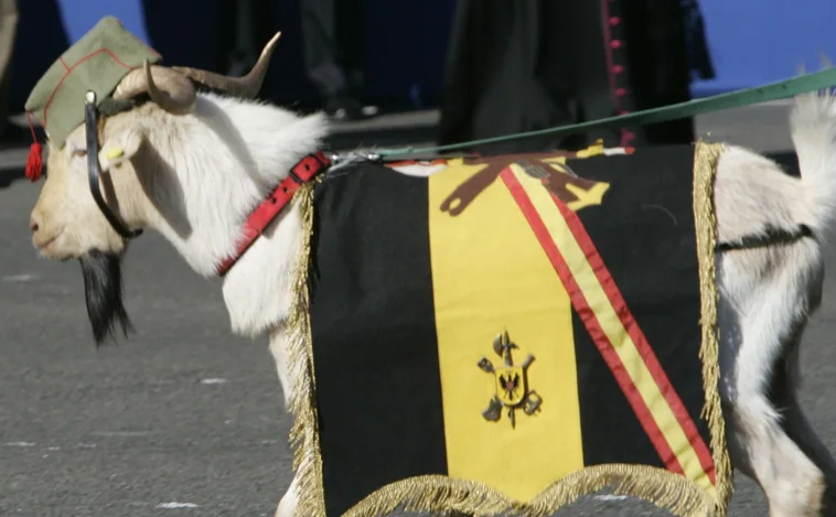 ¿Por qué la cabra es la mascota de la Legión y aparece en el desfile de las Fuerzas Armadas?