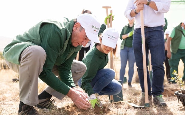 Voluntarios de Iberdrola colaboran en la plantación de árboles en zonas afectadas por el incendio de Navalacruz