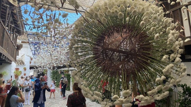 Todo lo que necesitas saber sobre el Festival Flora de Córdoba 2022