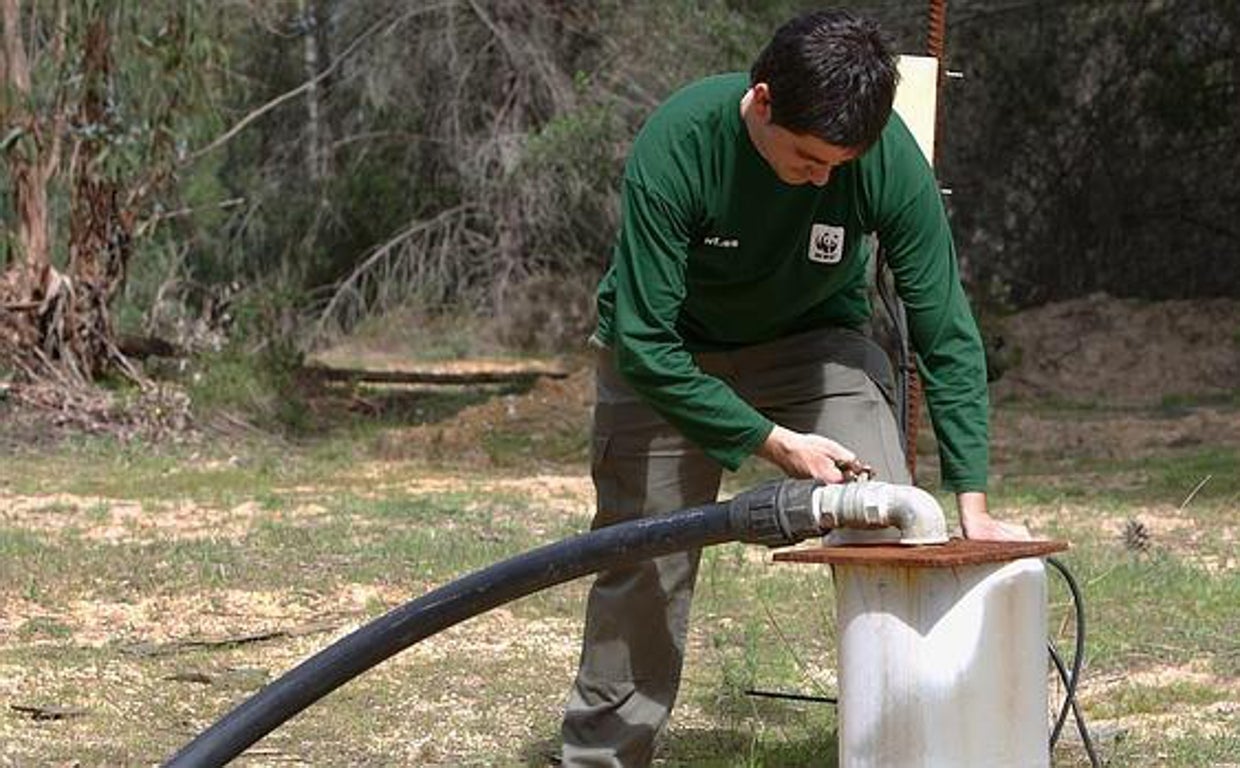 Un pozo de agua en el entorno de Doñana