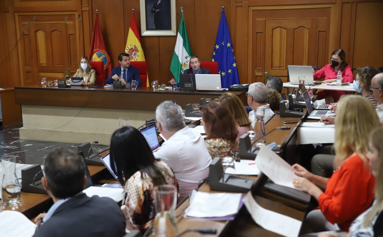 Imagen general del Pleno