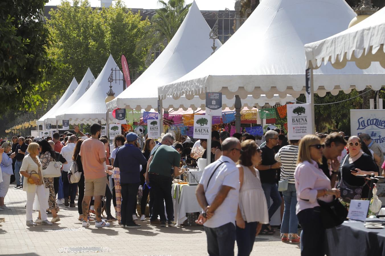 Las mejoras tapas de Córdoba en la calle, en imágenes