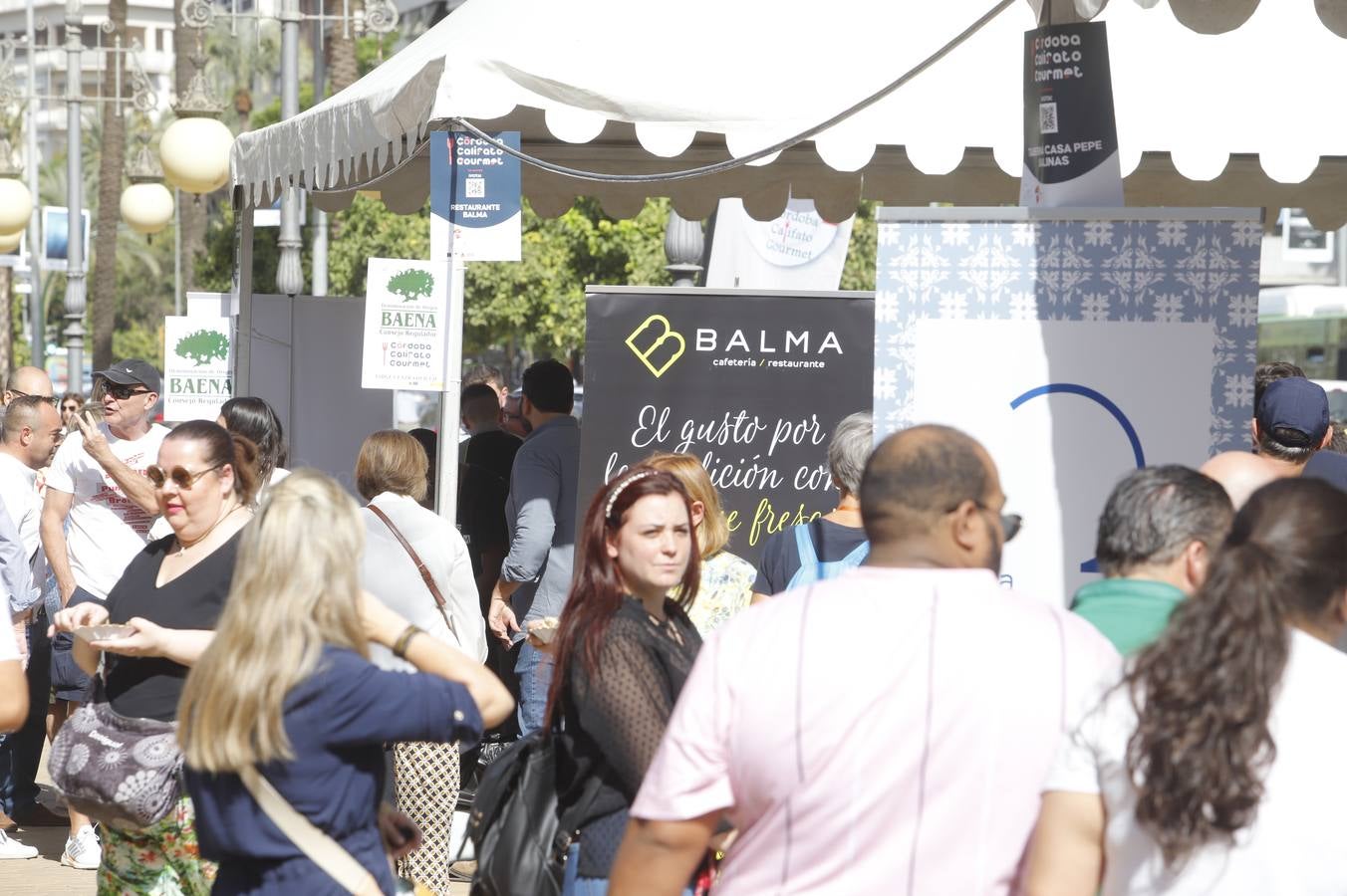 Las mejoras tapas de Córdoba en la calle, en imágenes