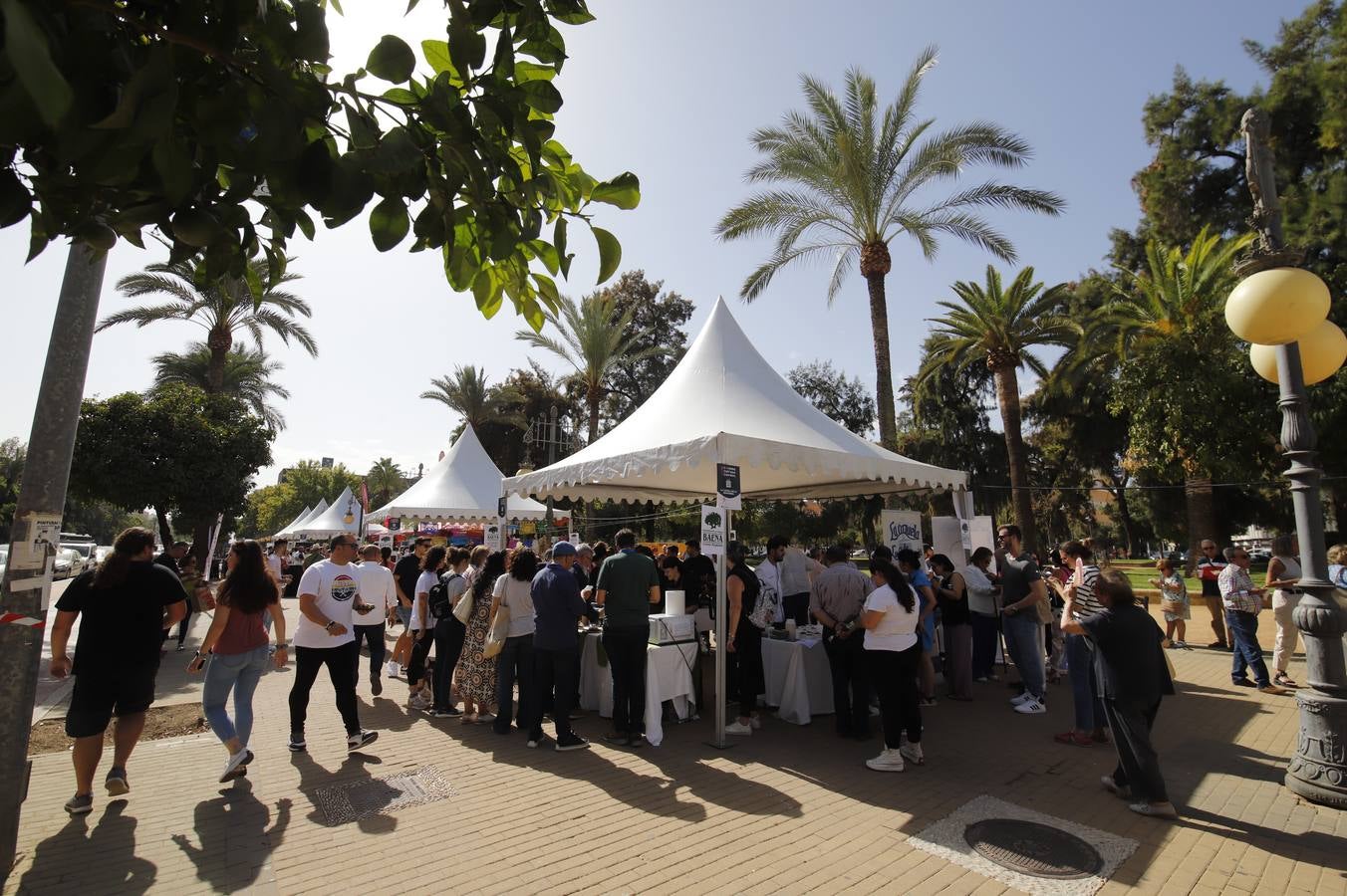 Las mejoras tapas de Córdoba en la calle, en imágenes