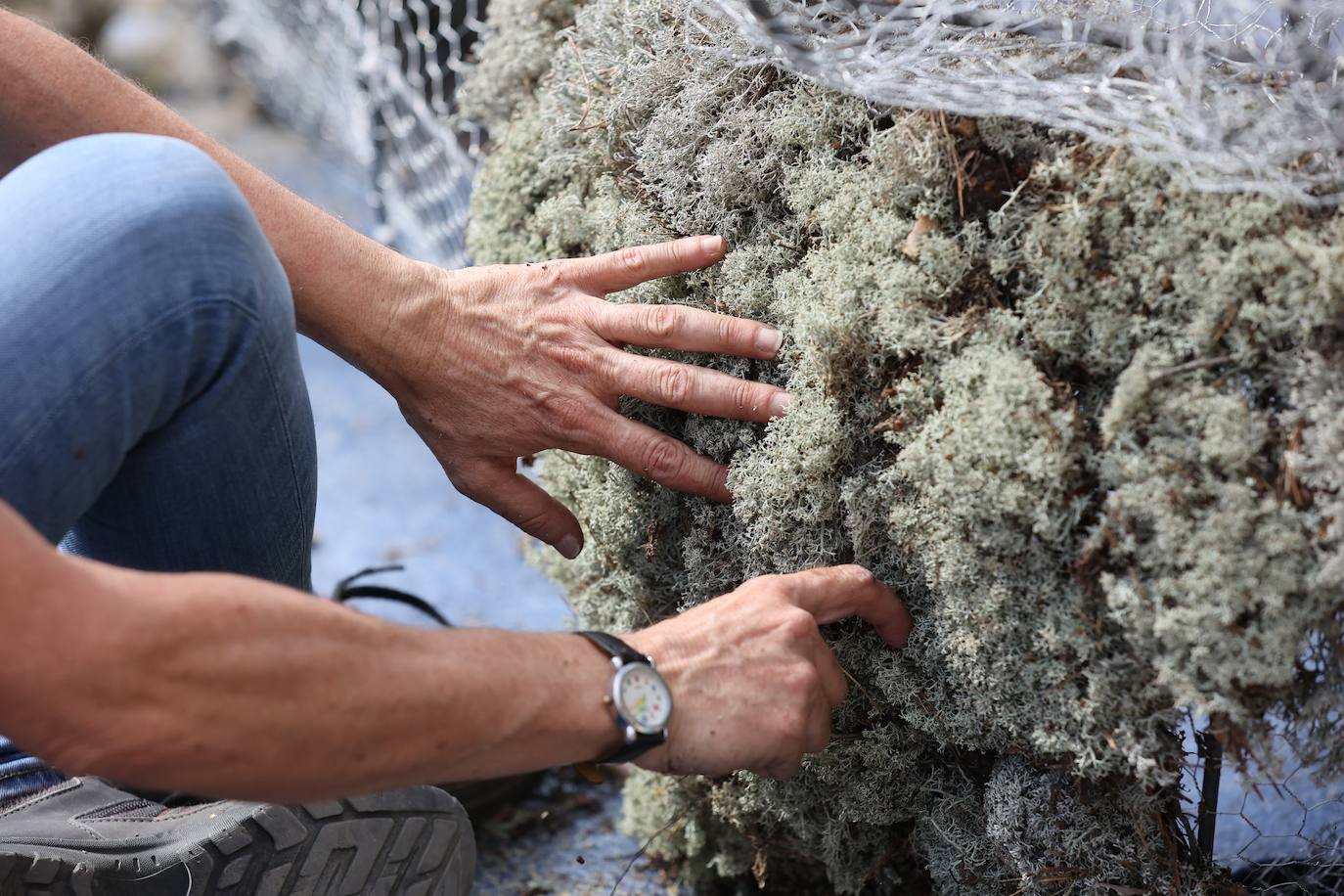 Festival Flora Córdoba 2022 | El montaje de las instalaciones, en imágenes