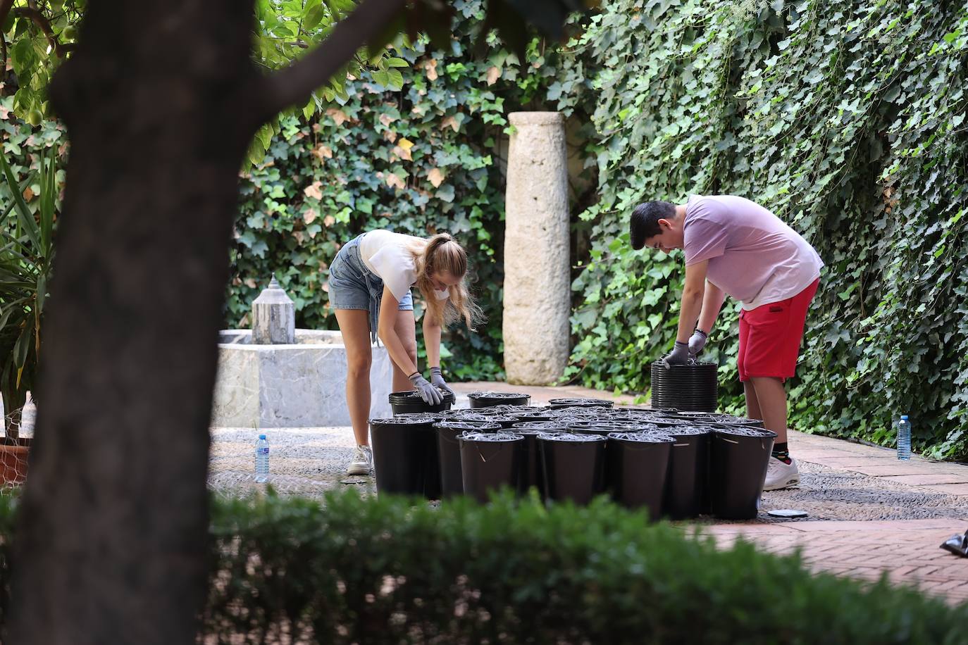 Festival Flora Córdoba 2022 | El montaje de las instalaciones, en imágenes