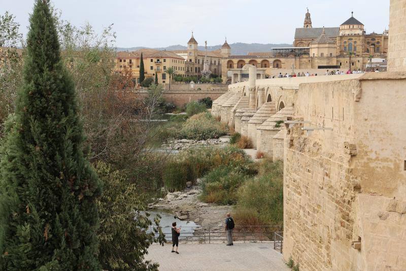 La sequía del Guadalquivir a su paso por Córdoba, en imágenes