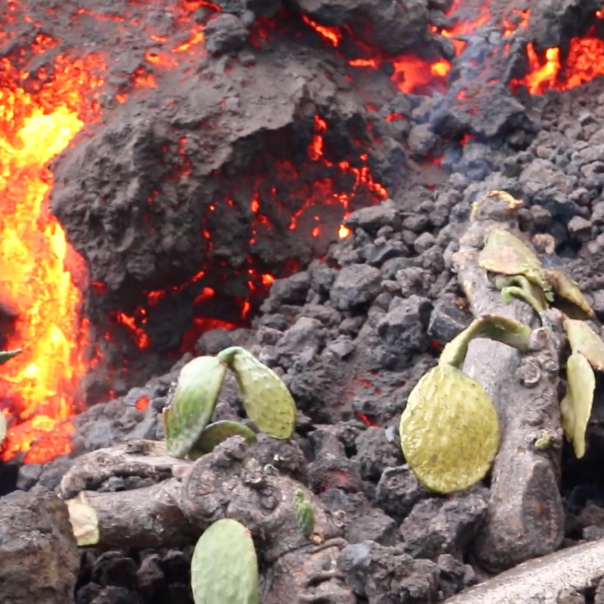 A los afectados del volcán les expropiarán con el valor actual «inexistente» de sus propiedades