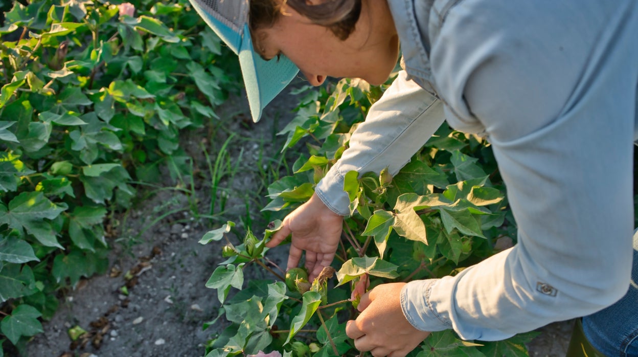 Faltan ingenieros agrónomos: se necesitan profesionales adaptados a las nuevas necesidades del sector