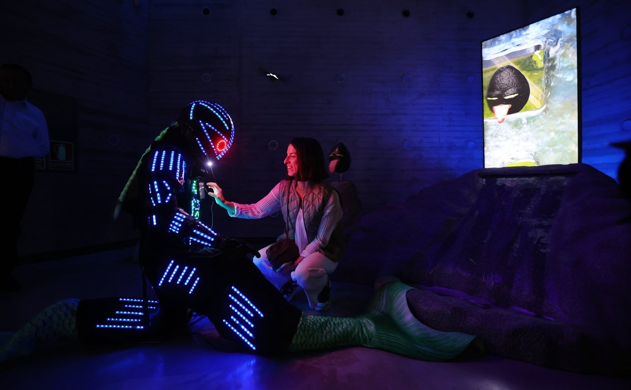 Instalación de Patricia Domínguez en el C3A, una de las que se suman a la exposición