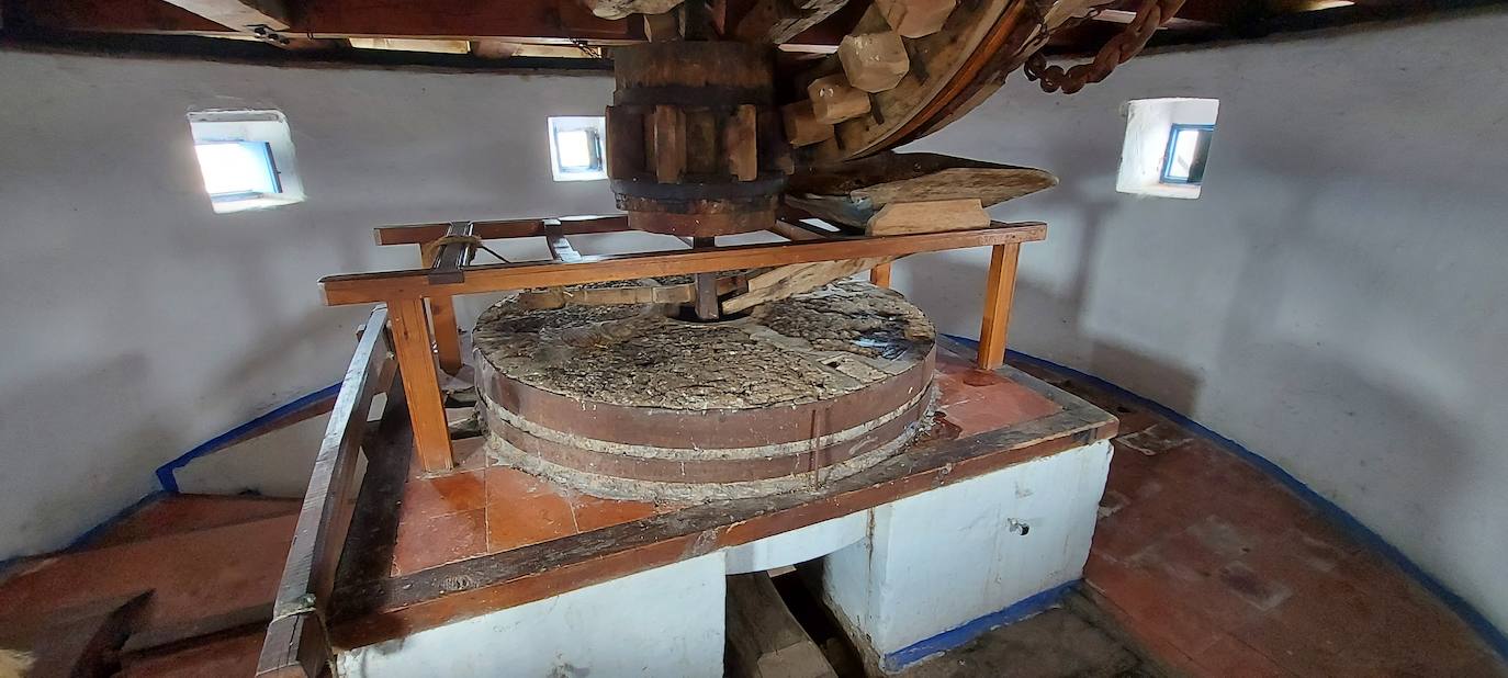 La Fiesta de la Rosa del Azafrán, cita obligada en Consuegra