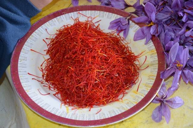 La Fiesta de la Rosa del Azafrán, cita obligada en Consuegra