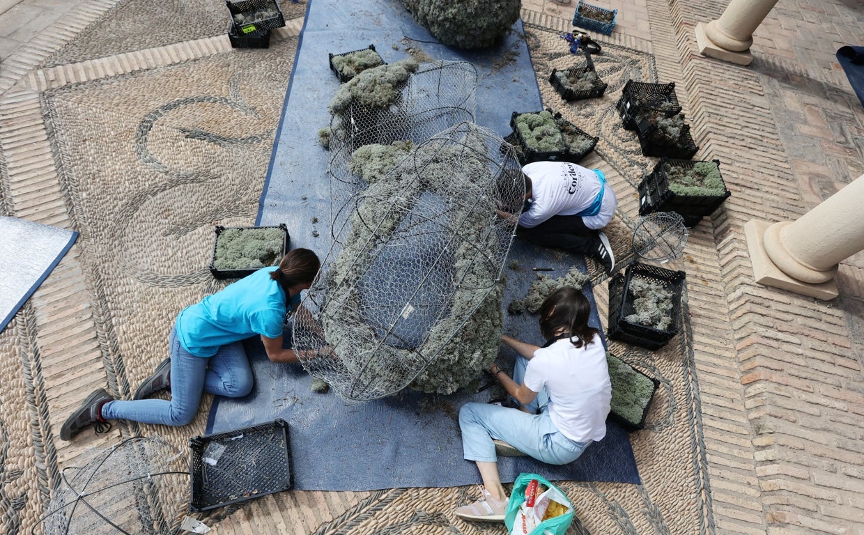 Festival Flora Córdoba 2022 | La lluvia se apunta al espectacular estreno de este viernes