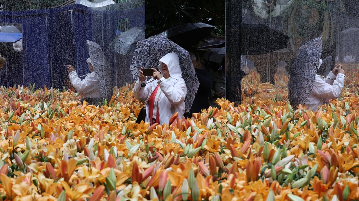 Flora Córdoba 2022 | El festival se abre con geometría, color y creatividad bajo la bendición de la lluvia