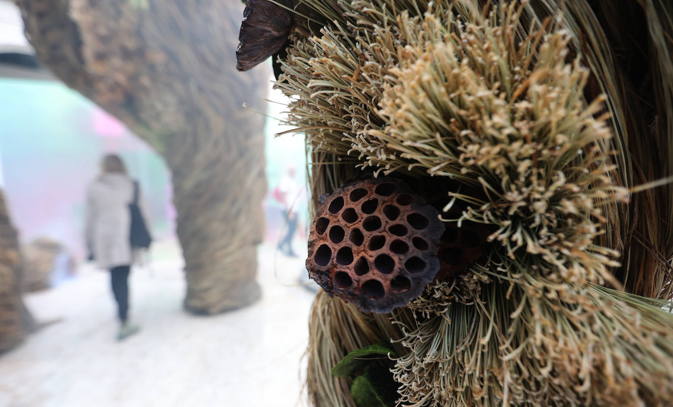 En imágenes, las instalaciones de Orive y Viana ganan los premios Flora 2022